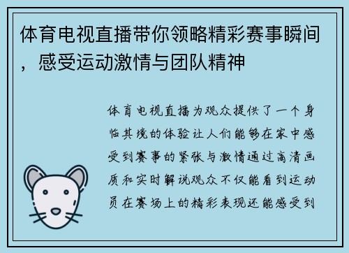 体育电视直播带你领略精彩赛事瞬间，感受运动激情与团队精神